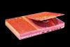 Sony Play Station inlaid Pink Crystal Swarovski Unique Cut 65
