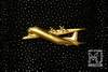Stingray Leather & Gold Airplane Logo
