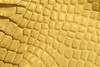 Exotic Genuine Leather - Crocodile Original Color