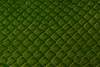 Exotic Genuine Leather - Python Green Color