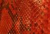 Exotic Genuine Leather - Python Red Mix Color