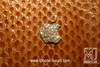 Genuine Python Skin with White Gold Apple Inlaid Diamonds
