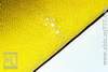 Sea Ray Yellow Stingray Polished Genuine Leather Flash